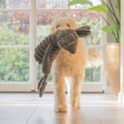 Reza Muis 9 Reza Muis Beeztees Speelgoed muis voor de hond 2