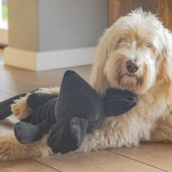 Reza Muis 10 Reza Muis Beeztees Speelgoed muis voor de hond 3