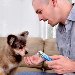 CHURU Bites Chicken Cheese Wraps Inaba Zachte snacks met romige vulling voor de hond met kip en kaas 4