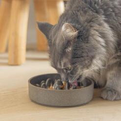 Anti Schrokbak Bamboe Beeztees Designed by Lotte Voerbak om de kat langzamer te laten eten 1