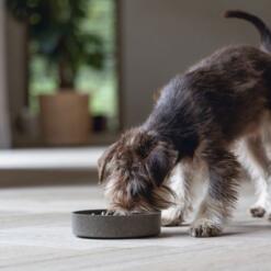 Alternative view of Anti Schrokbak Bamboe