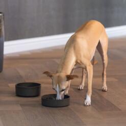 Anti Schrokbak Bamboe Beeztees Designed by lotte Voerbak voor hond of kat om langzamer te eten 3