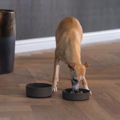 Anti Schrokbak Bamboe Beeztees Designed by lotte Voerbak voor hond of kat om langzamer te eten 4