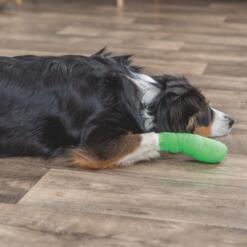 Bandages met Bitterstoffen Trixie Flexibel en zelfklevend verband voor dieren met bitterstof om bijten tegen te gaan 3