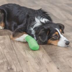 Bandages met Bitterstoffen Trixie Flexibel en zelfklevend verband voor dieren met bitterstof om bijten tegen te gaan 4