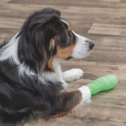 Bandages met Bitterstoffen Trixie Flexibel en zelfklevend verband voor dieren met bitterstof om bijten tegen te gaan 5
