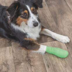 Bandages met Bitterstoffen Trixie Flexibel en zelfklevend verband voor dieren met bitterstof om bijten tegen te gaan 6