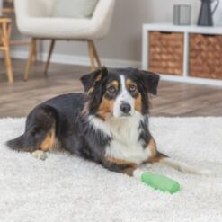 Bandages met Bitterstoffen Trixie Flexibel en zelfklevend verband voor dieren met bitterstof om bijten tegen te gaan 8