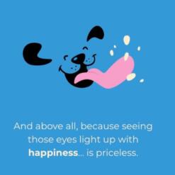 Flowis Hondenijs Gosbi Ijsjes voor de hond op basis van poeder 10