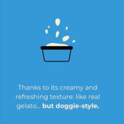 Flowis Hondenijs Gosbi Ijsjes voor de hond op basis van poeder 8