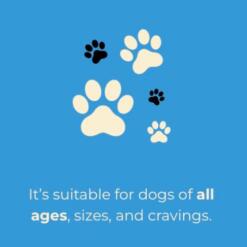 Flowis Hondenijs Gosbi Ijsjes voor de hond op basis van poeder 9