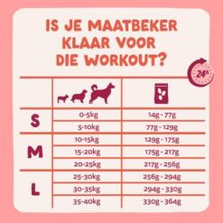 E&C Senior Hond 9 EC Senior Hond Edgard Cooper Brokjes voor de seniorhond graanvrij 4