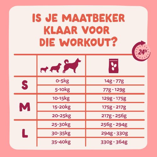 E&C Senior Hond 5 E&C Senior Hond - Afbeelding 4