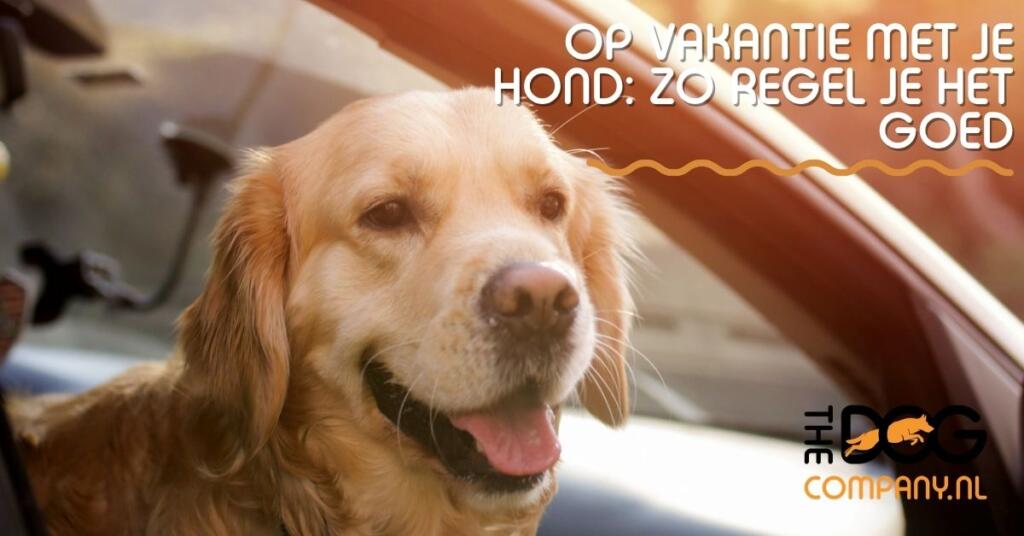 Reizen met de hond: zo maak je de vakantie stressvrij voor jullie allebei