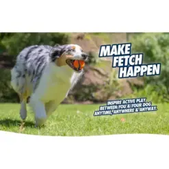 Chuckit Ultra Ball 7 Australian Shepherd apporteert Chuckit! Ultra Ball op het gras