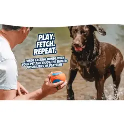 Chuckit Ultra Ball 8 Man biedt Chuckit! Ultra Ball aan natte Labrador bij het water