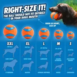 Chuckit Ultra Ball 9 Maatgids Chuckit! Ultra Ball: van S tot XXL per hondenras