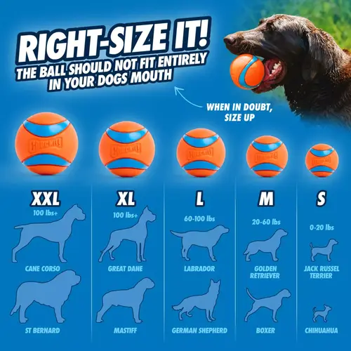 Chuckit Ultra Ball 5 Maatgids Chuckit! Ultra Ball: van S tot XXL per hondenras