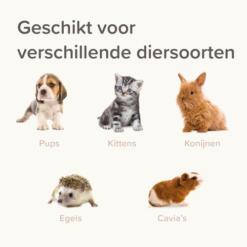 Beaphar Lactol Voederspuitjes geschikt voor pups, kittens, konijnen, egels en cavia's