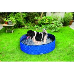 Hond in Beeztees Doggy Dip zwembad in de tuin voor verkoeling