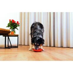 Hond likt van Beeztees Likmat Schotel rood