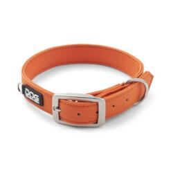 DOG Copenhagen Urban Classic hondenhalsband oranje (Orange Sun), volledig aanzicht in ringvorm, witte achtergrond