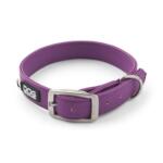 DOG Copenhagen Urban Classic: nieuwe halsband en lijn van veganistisch leer 10 DOG Copenhagen Urban Classic hondenhalsband paars (Purple Passion), volledig aanzicht in ringvorm, witte achtergrond