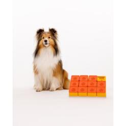 Hond bezig met Pawzler Treat Maze level 3 puzzel