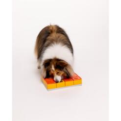 Hond bezig met Pawzler Treat Maze level 3 puzzel