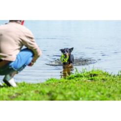 Aqua Toy Grijper – Drijvend Waterspeelgoed voor Honden 13 Hond apporteert Trixie Aqua Toy Grijper limoengroen in meer, baasje wacht op de oever