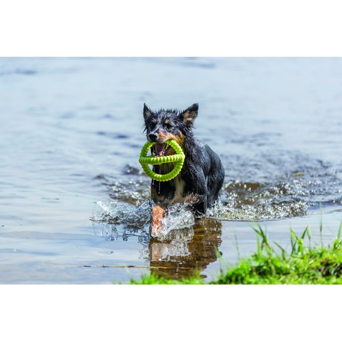 Aqua Toy Grijper – Drijvend Waterspeelgoed voor Honden 3 Hond komt lopend uit het water met Trixie Aqua Toy Grijper limoengroen, apporteeropdracht