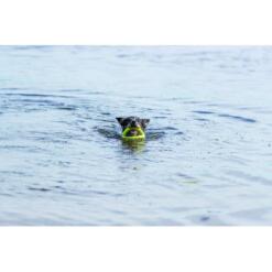 Aqua Toy Grijper – Drijvend Waterspeelgoed voor Honden 12 Hond zwemt in open water met Trixie Aqua Toy Grijper limoengroen in de bek
