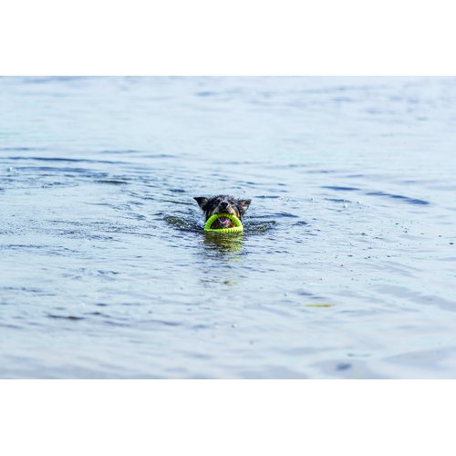Aqua Toy Grijper – Drijvend Waterspeelgoed voor Honden 4 Hond zwemt in open water met Trixie Aqua Toy Grijper limoengroen in de bek