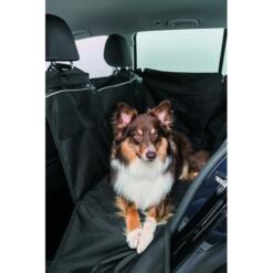Border Collie op Trixie auto-beschermdeken met zijkanten omhoog, frontaal aanzicht achterbank