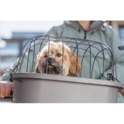 Trixie Stuur-Fietsmand voor Honden – Grijs 31 Kleine hond zittend in grijze Trixie stuur-fietsmand op de fiets, buiten