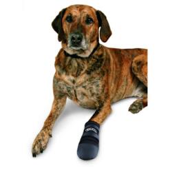 Walker Care Pootbeschermer Hond - bescherming bij verwondingen 8 walker care pootbeschermer hond alle maten