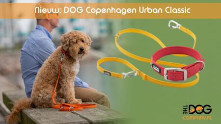 Nieuw: Dog Copenhagen Urban Classic halsband en lijn