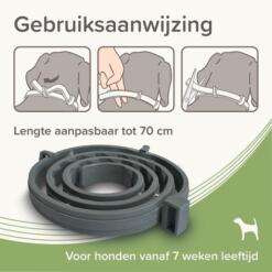 Beaphar Medicinale Halsband Hond & Kat | tot 8 maanden 16 Grote hond met Beaphar Medicinale halsband, tot 8 maanden bescherming