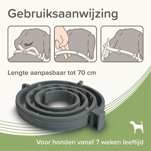 Beaphar Medicinale Halsband Hond & Kat | tot 8 maanden 8 Grote hond met Beaphar Medicinale halsband, tot 8 maanden bescherming
