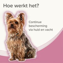 Beaphar Medicinale Halsband Hond & Kat | tot 8 maanden 13 Werking van de Beaphar Medicinale halsband via de huid en vacht van de hond
