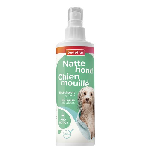 Beaphar Natte Hond Spray | Frisse vacht na een nat avontuur 3 Wit spuitflesje Beaphar Natte Hond Spray 250 ml met groen etiket op witte achtergrond