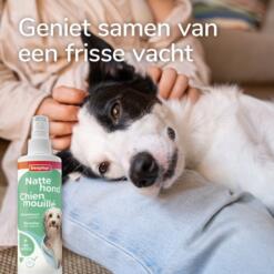 Beaphar Natte Hond Spray | Frisse vacht na een nat avontuur 15 Border collie met frisse vacht ligt ontspannen bij het baasje op schoot