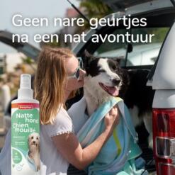 Beaphar Natte Hond Spray | Frisse vacht na een nat avontuur 11 Vrouw droogt een natte border collie af in de kofferbak van de auto met Beaphar Natte Hond Spray
