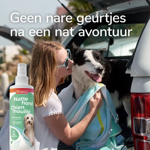 Beaphar Natte Hond Spray | Frisse vacht na een nat avontuur 5 Vrouw droogt een natte border collie af in de kofferbak van de auto met Beaphar Natte Hond Spray