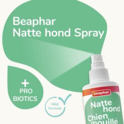 Beaphar Natte Hond Spray | Frisse vacht na een nat avontuur 12 Infographic die toont hoe Beaphar Natte Hond Spray onplezierige geuren neutraliseert, met een voor en na van de hond