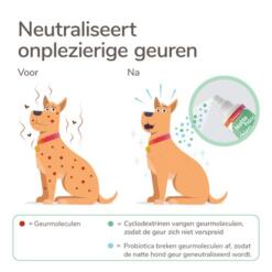 Beaphar Natte Hond Spray | Frisse vacht na een nat avontuur 13 Productafbeelding Beaphar Natte Hond Spray met probiotica, groen ontwerp met flesje