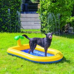 Hond koelt af in het Beeztees Palmy hondenzwembad in de tuin