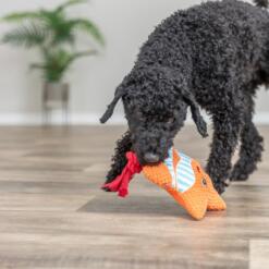Pluche Hondenspeeltje Zeester met Touw | Geluidloos 8 Hond sjort aan het touw van de pluche zeester hondenspeeltje