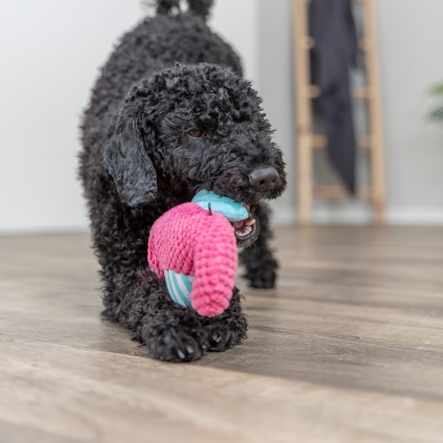 Geluidloos Hondenspeeltje Zeepaardje van Pluche 4 Zwarte hond speelt met geluidloos pluche zeepaardje hondenspeeltje