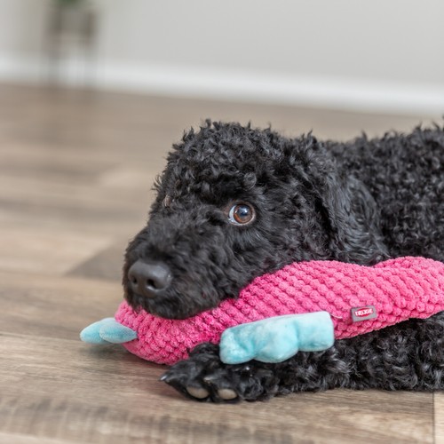 Geluidloos Hondenspeeltje Zeepaardje van Pluche 5 Hond draagt roze pluche zeepaardje zonder piep in de bek
